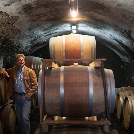 Fattoria Di Rignana Winery Bnb Greve in Chianti Exterior photo