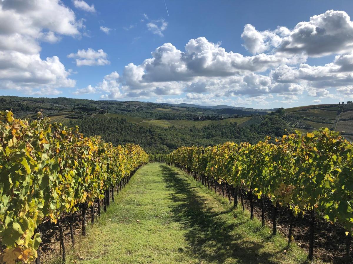 Fattoria Di Rignana Winery Bnb Greve in Chianti Exterior photo