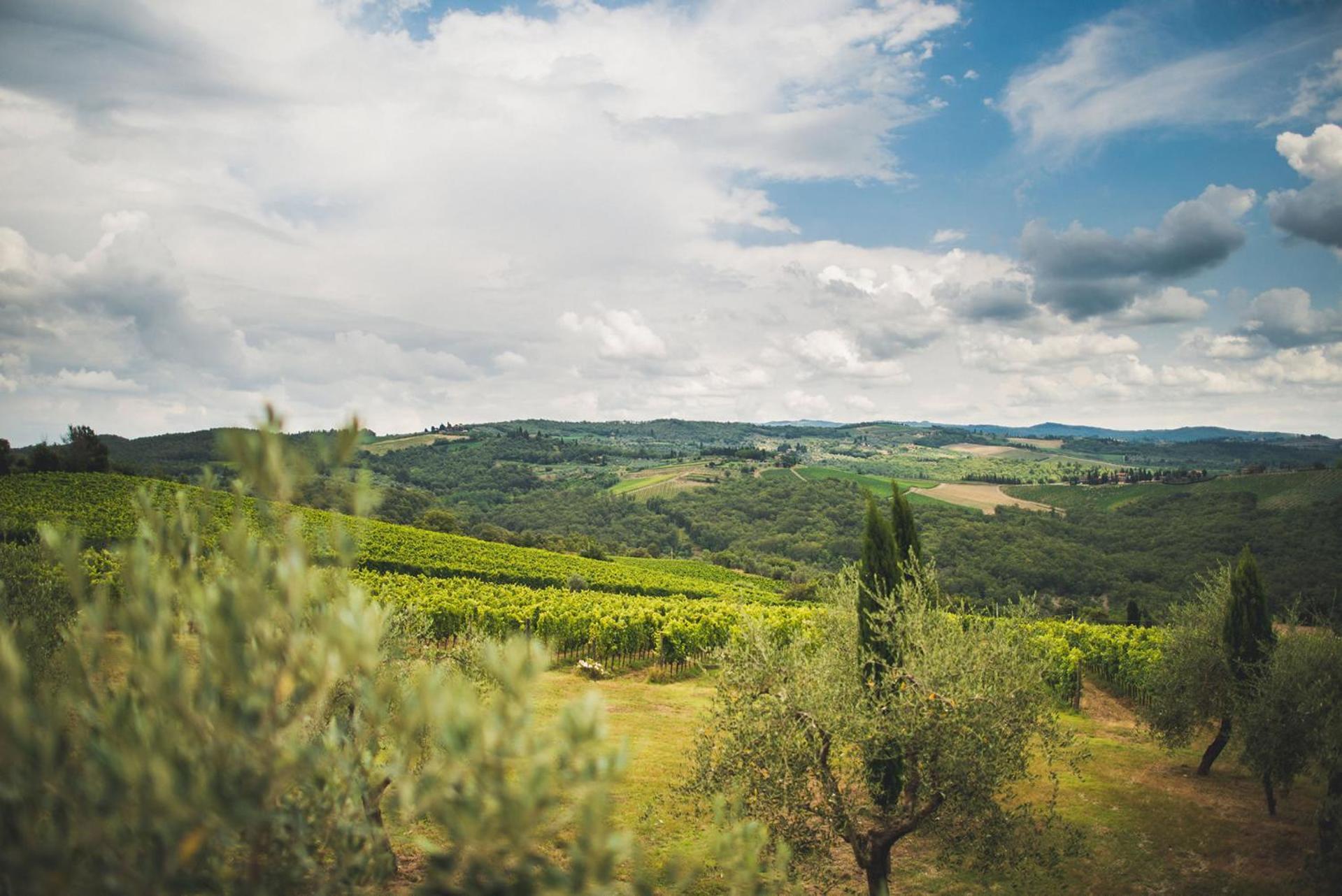 Fattoria Di Rignana Winery Bnb Greve in Chianti Exterior photo